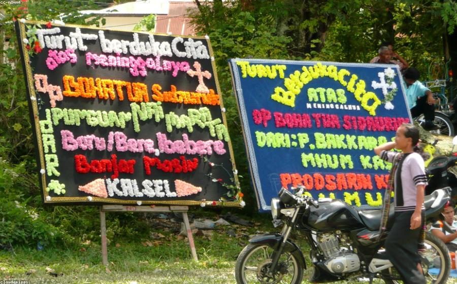 Ilustrasi menu makan bergizi MBG Samarinda di Samarinda